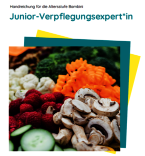 Deckblatt des Leitfadens mit dem Titel: "Junior-Verpflegungsexpert*in, der über dem Bild von einer Rohkostplatte steht.