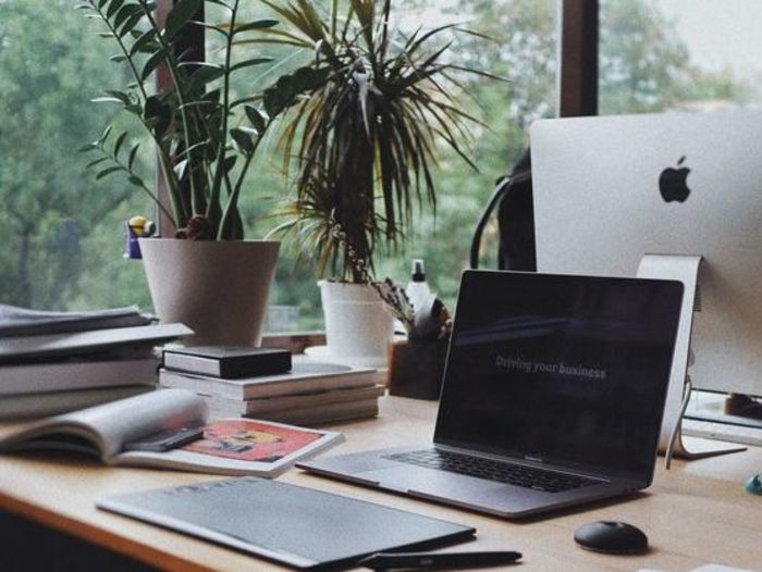Ansicht eines Schreibtischs: Laptop, Notizen, Bücher und Büropflanzen